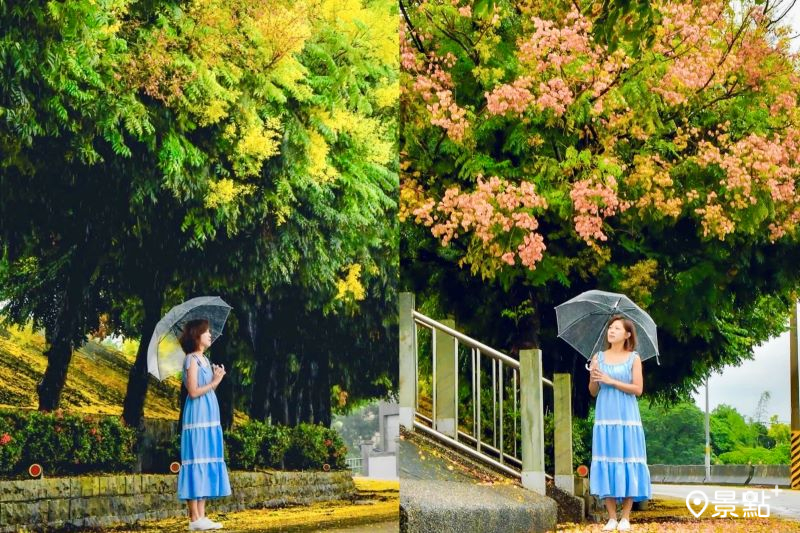 （圖／an700328，以下同）