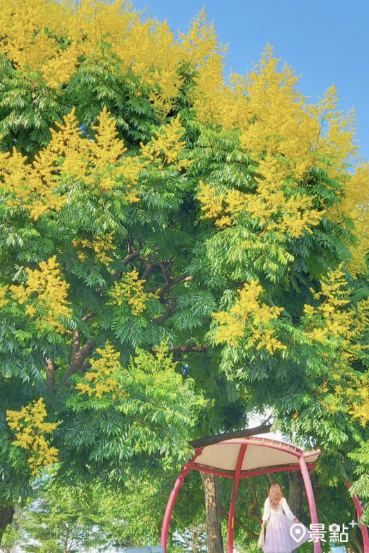 （圖／yijiun_lee，以下同）