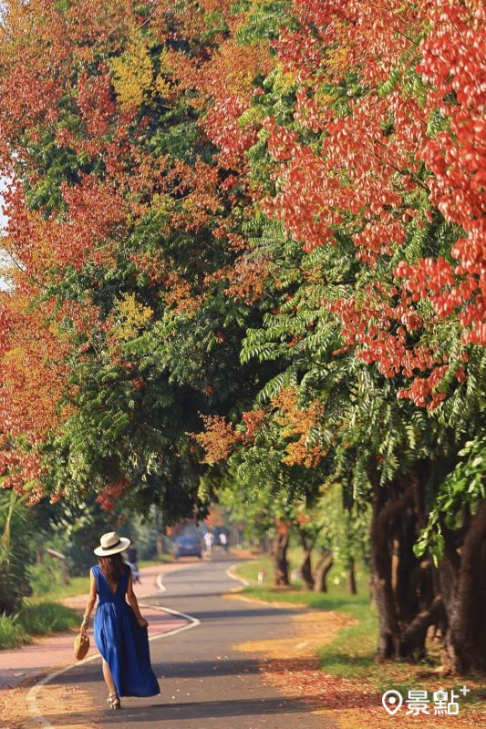 （圖／heart.5251）