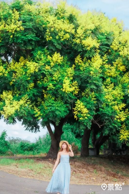 （圖／apple690523）