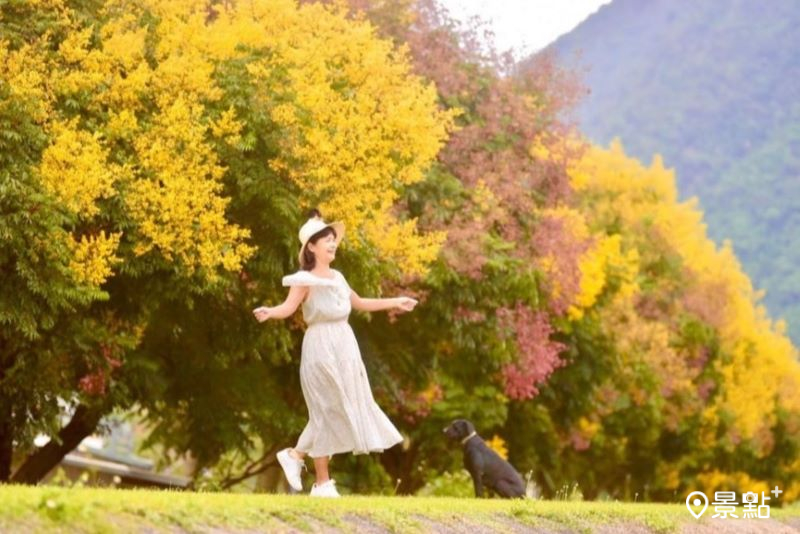 （圖／laiyuping9520，以下同）