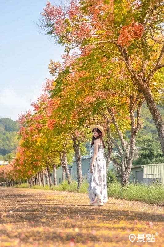 （圖／aday0530）