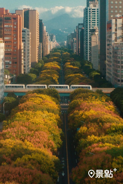 （圖／itsdanielchen）