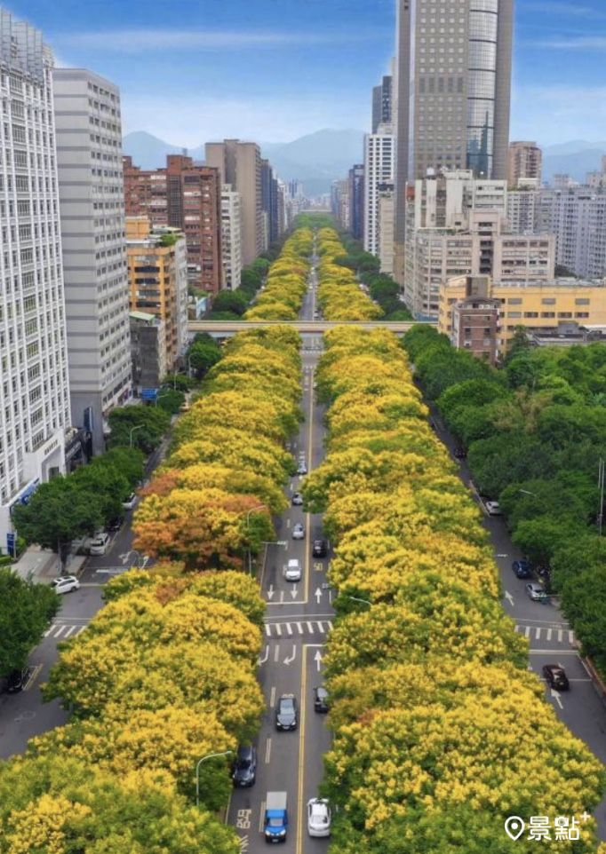 （圖／台北市政府）