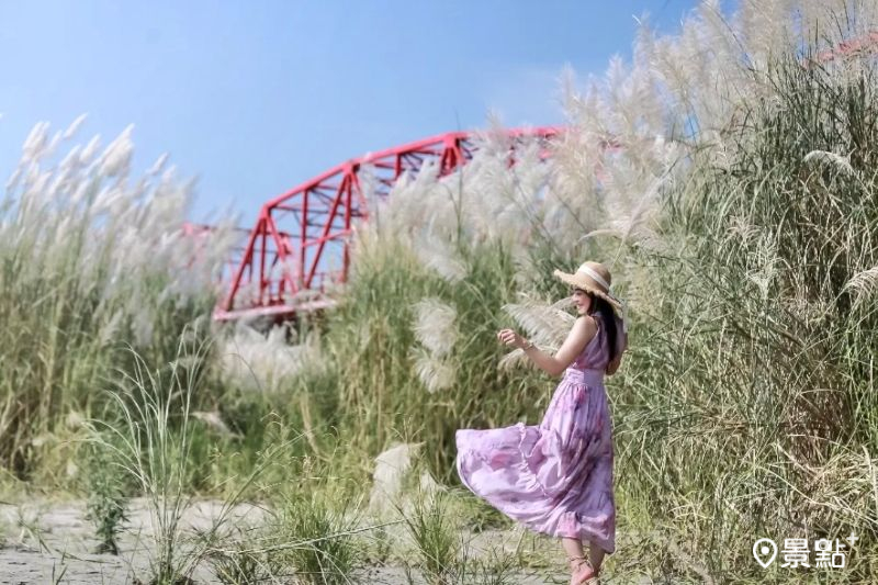 銀白甜根子草浪花Ｘ紅橋地標美拍！經典必訪秋日大景5大順遊景點推薦