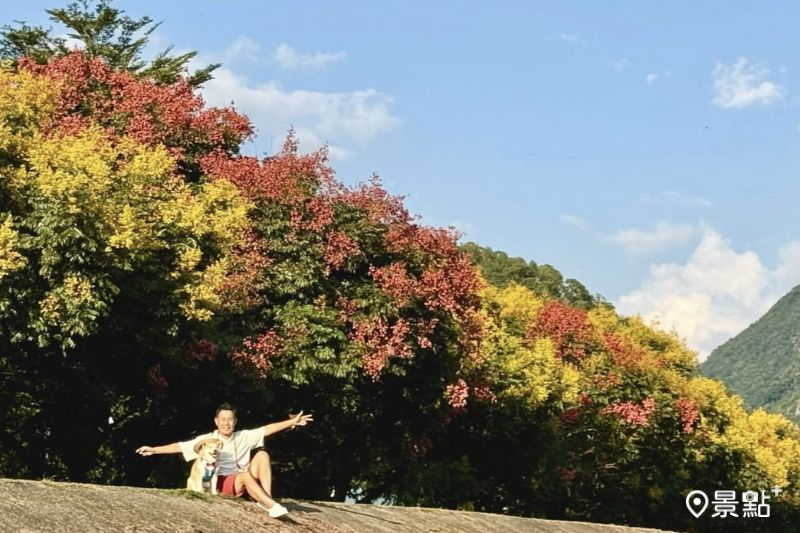 全台最早4色欒樹漸層大景！近距離美拍花海3大順遊景點推薦