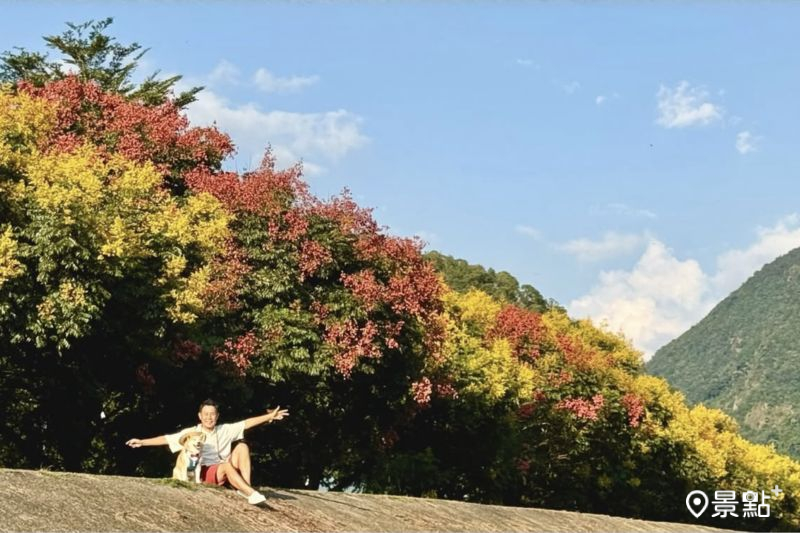 （圖／momo201438）