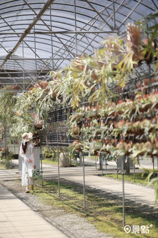 （圖／yijiun_lee，以下同）