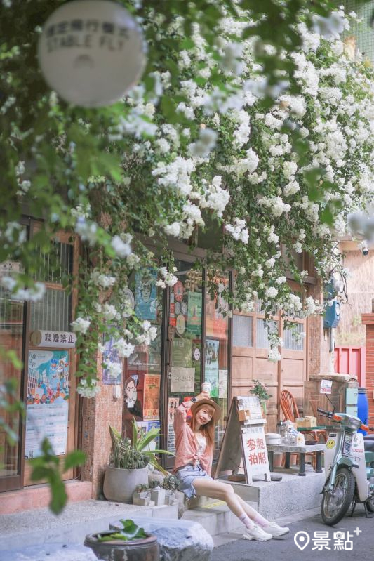 於2025年9月14日拍攝的「穩定飛行模式」九重葛花瀑。（圖／queena__0302，以下同）