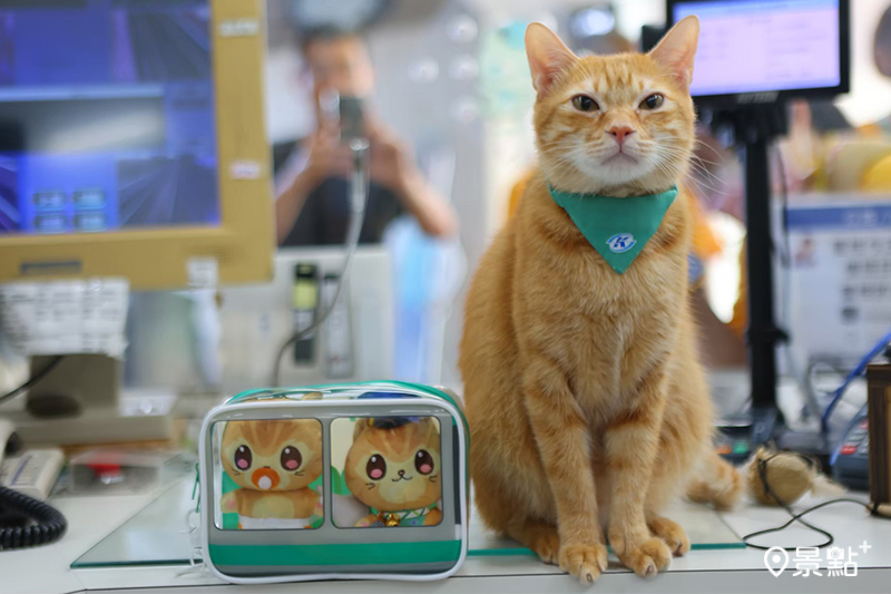 多款可愛蜜柑站長周邊必追！