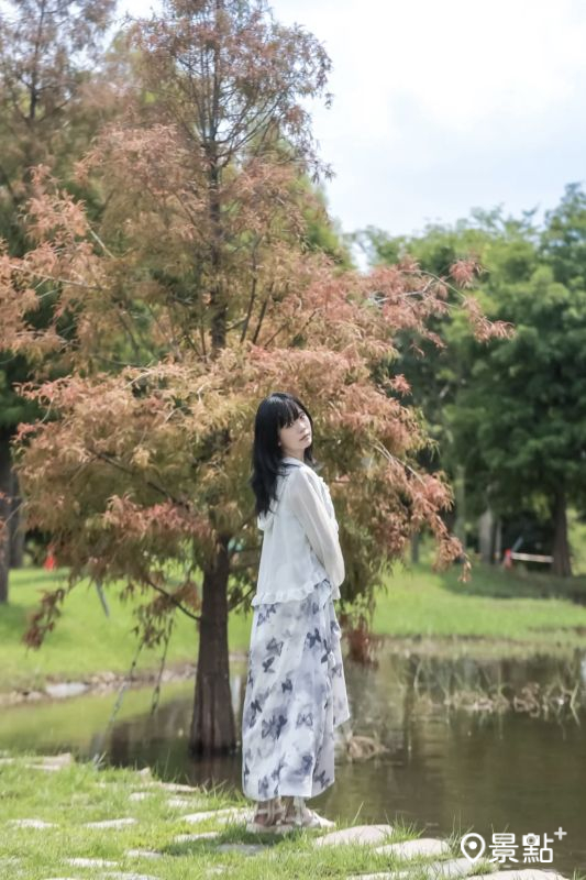 於2025年9月13日拍攝的后里環保公園落羽松美景。（圖／aday0530，以下同）