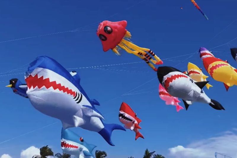 （圖／新北市北海岸國際風箏節）