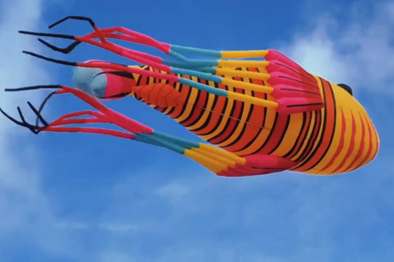 （圖／新北市北海岸國際風箏節）