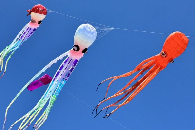 2025新北市北海岸國際風箏節於9月20日登場。（圖／新北市北海岸國際風箏節）