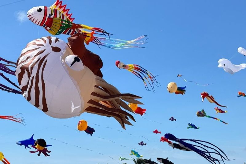 （圖／新北市北海岸國際風箏節，以下同）