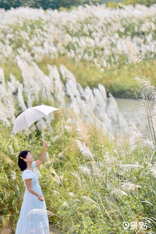 （圖／laiyuping9520）