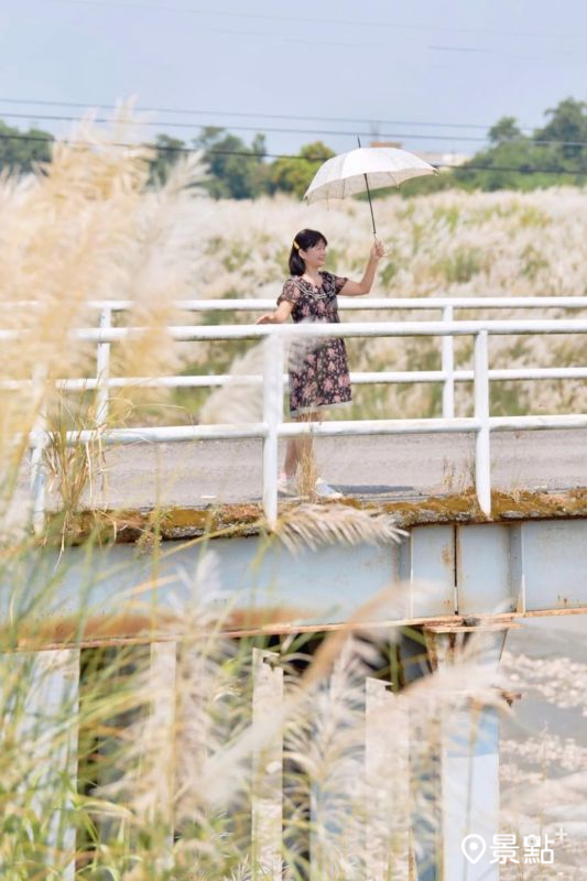 （圖／laiyuping9520，以下同）