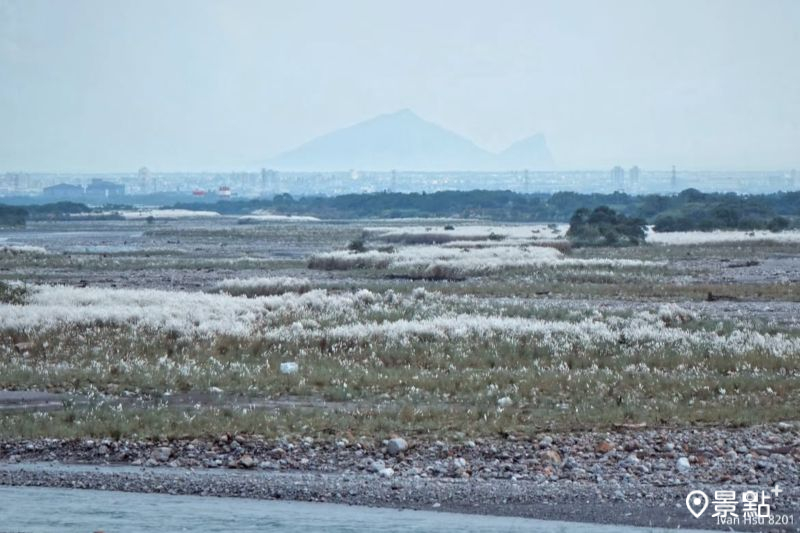 從泰雅大橋往下游看過去，可以將遠方龜山島一同入鏡。（圖／ivan_hsu_8201）