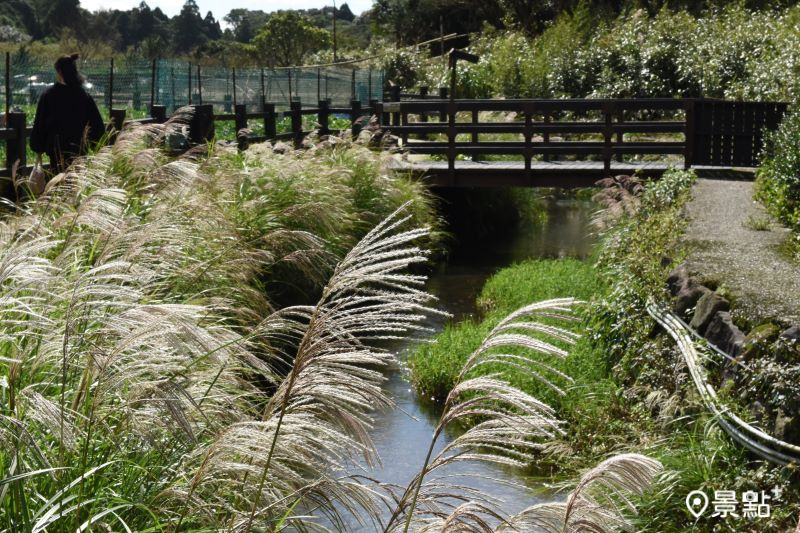 （圖／台北市政府，以下同）