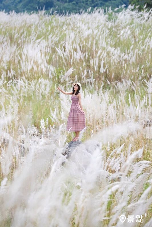 拍攝點位於卓蘭「葡萄金剛」河堤對面（座標 24.2900355, 120.8589016）。（圖／pierrehuang）