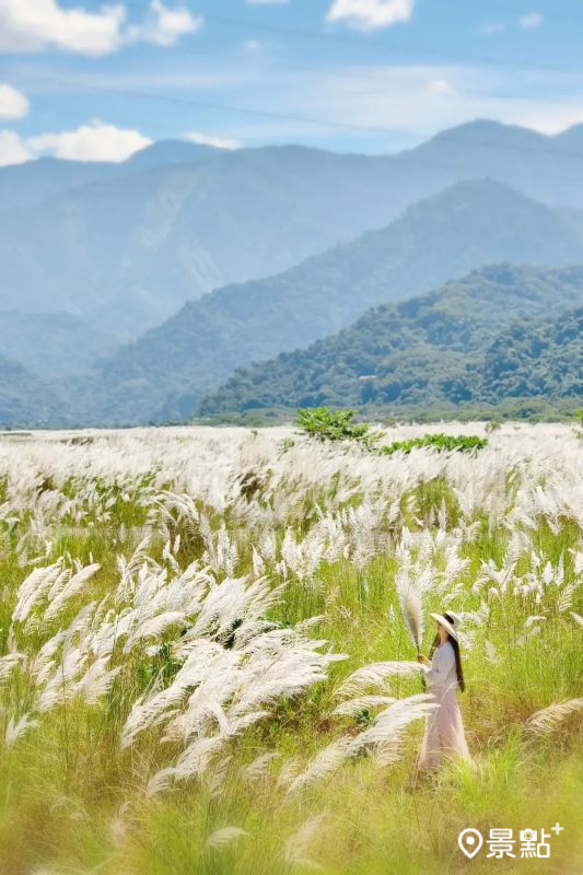 拍攝點可導航至「甜甜觀光果園」。（圖／nikopapa9）