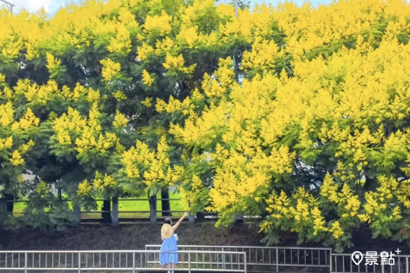 （圖／ada_00170）