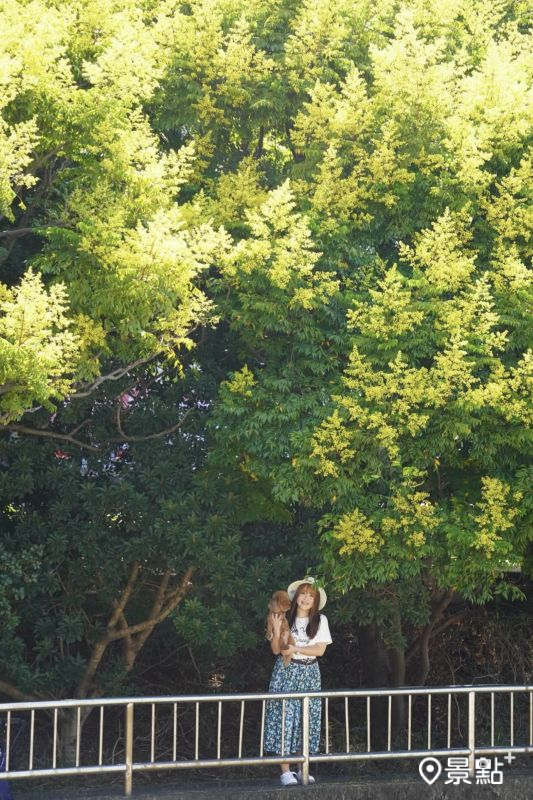 （圖／luvyuuna）