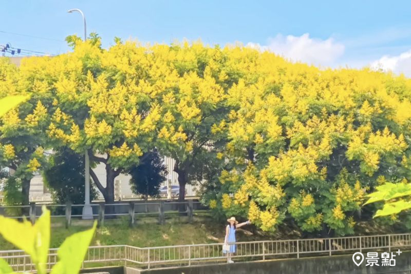 （圖／ada_00170）