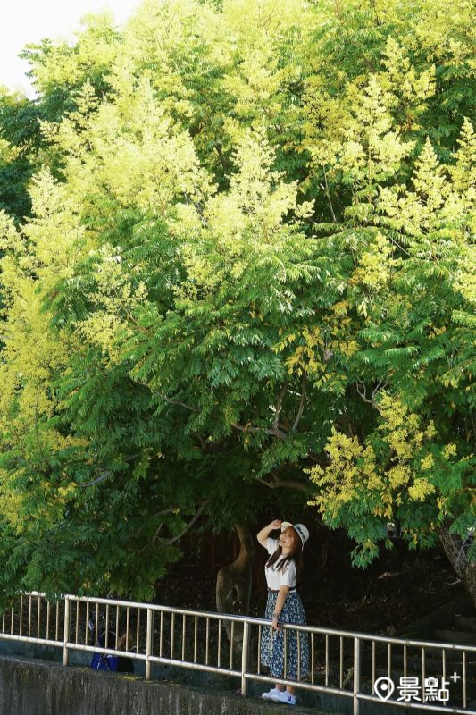 （圖／luvyuuna，以下同）