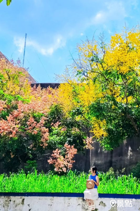 （圖／ada_00170）