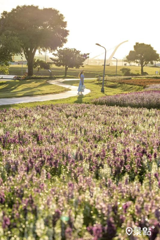 （圖／yijiun_lee）