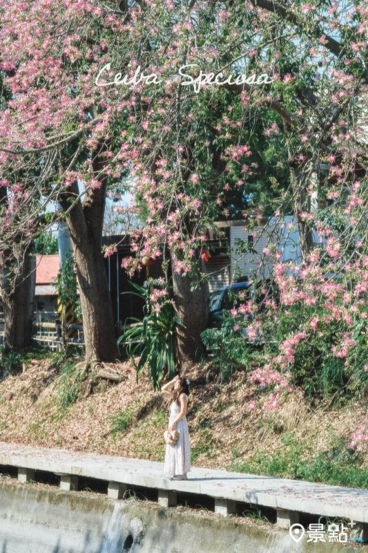 （圖／roger030517）