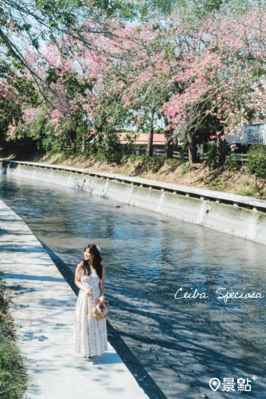 （圖／roger030517，以下同）