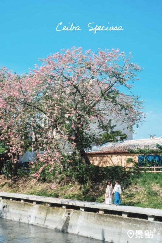 （圖／roger030517，以下同）