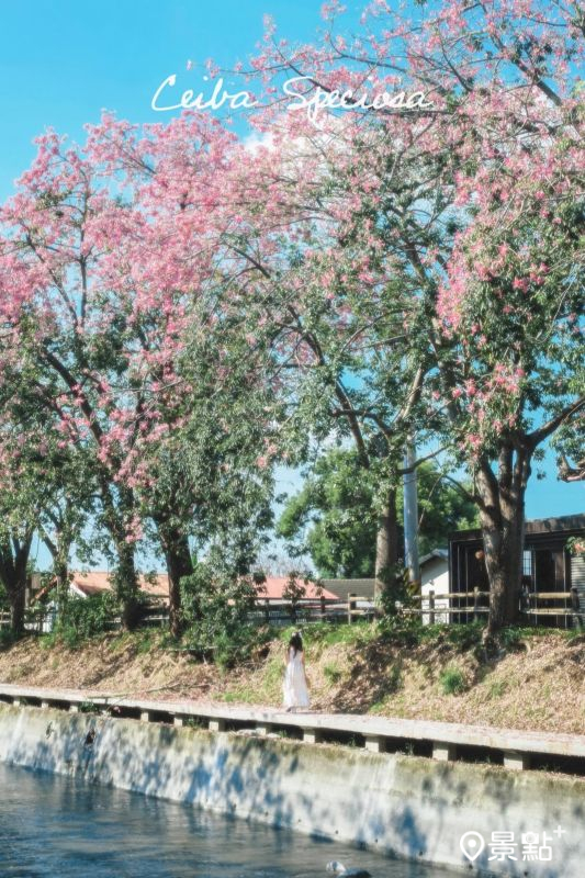 （圖／roger030517）