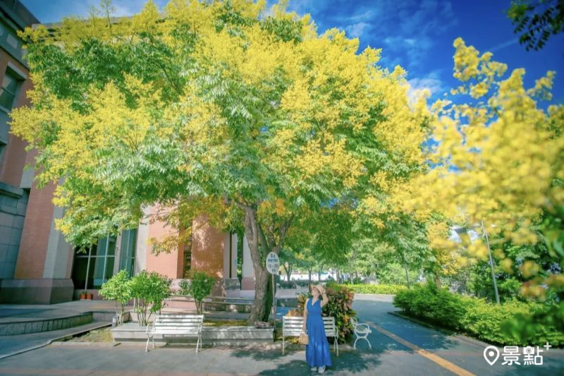 （圖／chen640527）