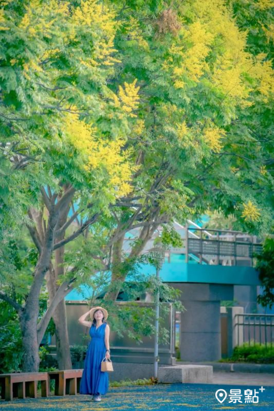 （圖／chen640527，以下同）