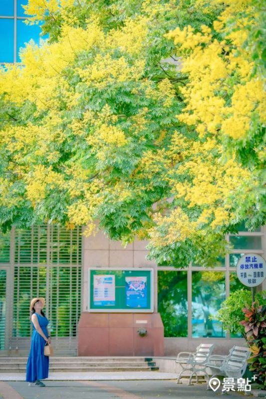 （圖／chen640527，以下同）