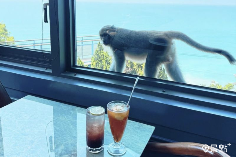 （圖／ariel_apple419）