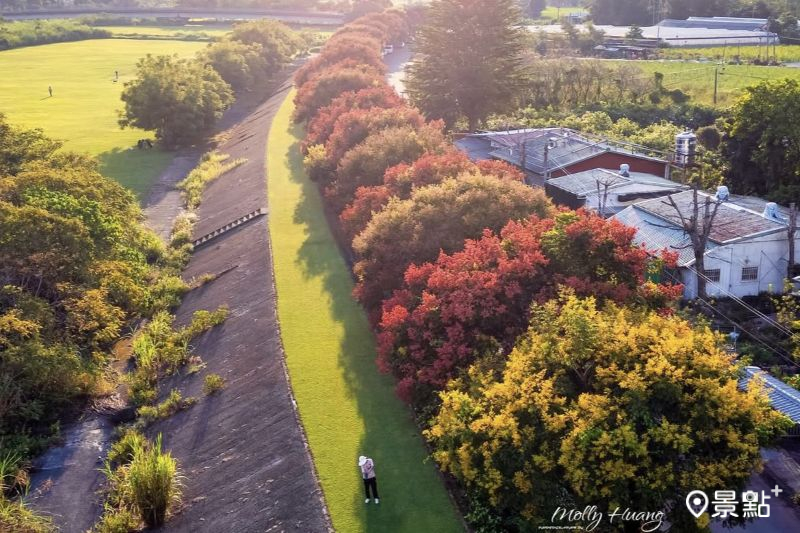 （圖／molly888666）