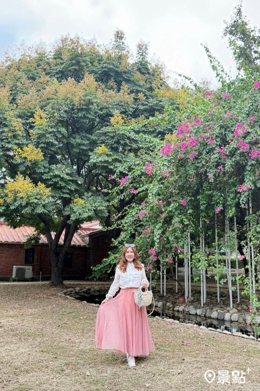 （圖／ariel_apple419，以下同）