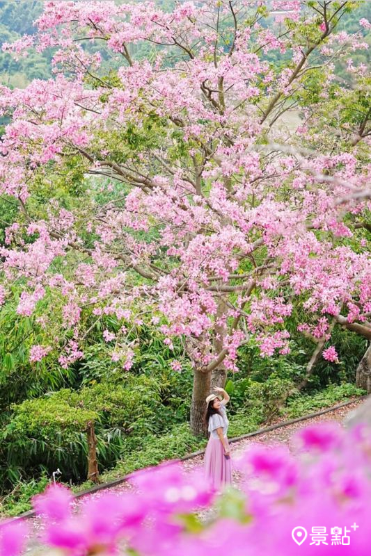 （圖／a_tsai324）