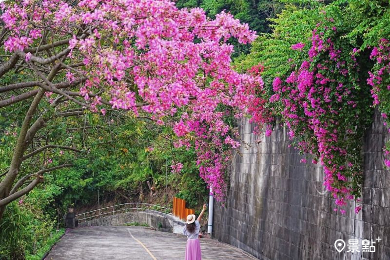 （圖／a_tsai324）