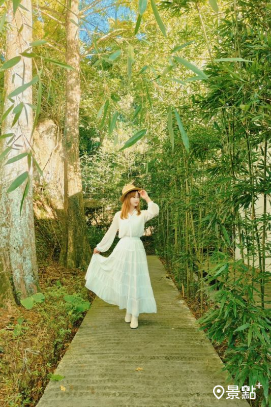 （圖／summer6639，以下同）