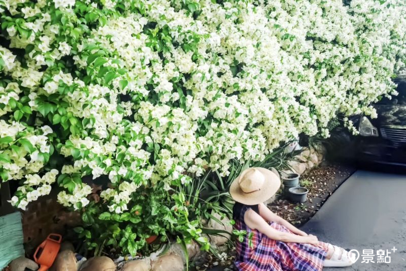 （圖／ada_00170）