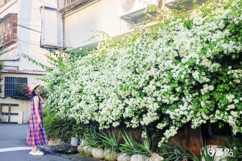 （圖／ada_00170）