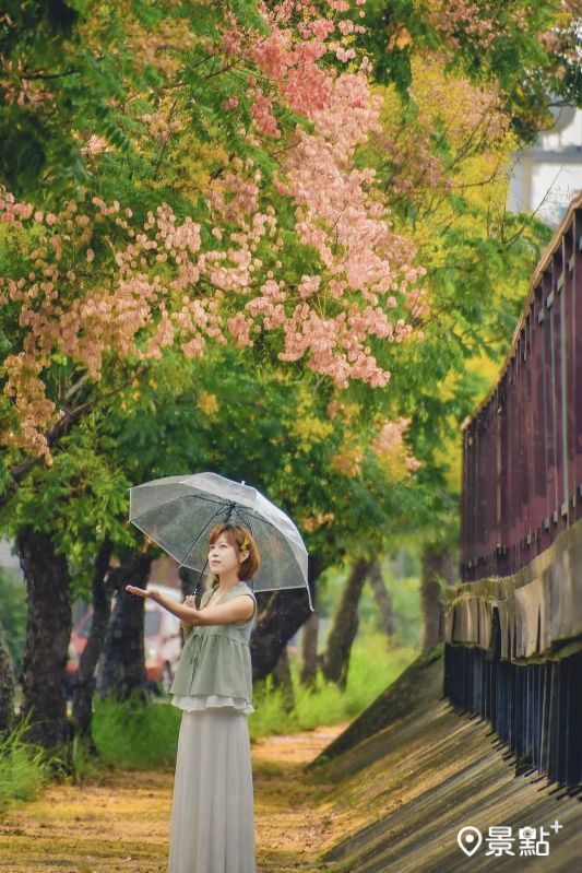 （圖／an700328）