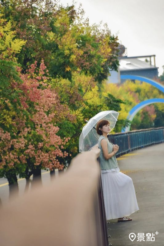 （圖／an700328，以下同）