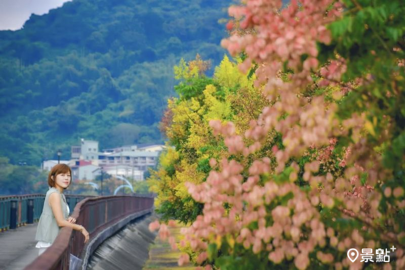 （圖／an700328，以下同）