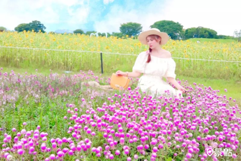 （圖／erma1206）